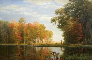 Autumn Woods
